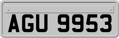 AGU9953