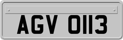 AGV0113