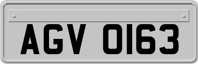 AGV0163