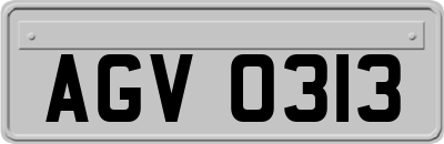 AGV0313