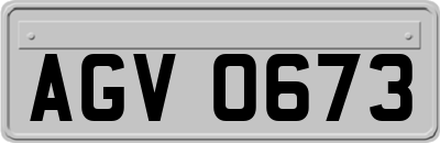 AGV0673