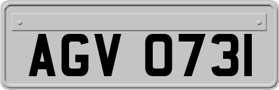 AGV0731