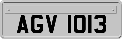 AGV1013