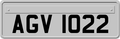 AGV1022