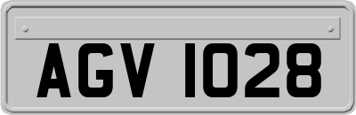 AGV1028
