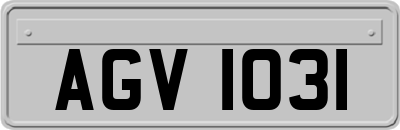 AGV1031