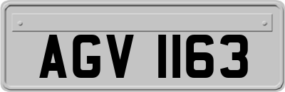 AGV1163