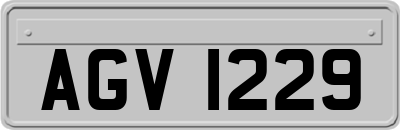 AGV1229