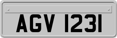 AGV1231