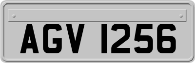 AGV1256