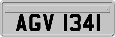 AGV1341