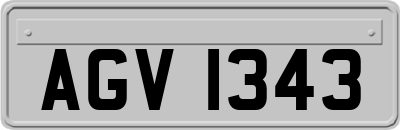 AGV1343