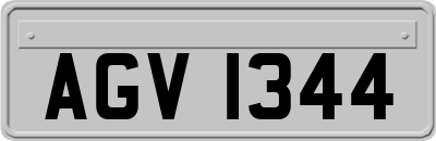 AGV1344