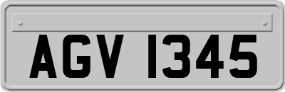 AGV1345