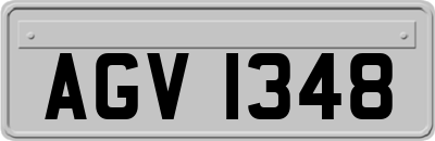 AGV1348