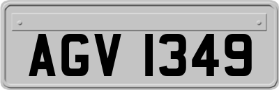 AGV1349