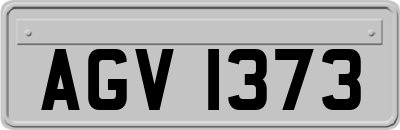 AGV1373