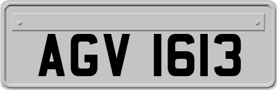 AGV1613
