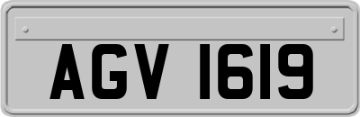 AGV1619