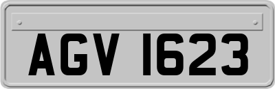 AGV1623