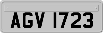AGV1723
