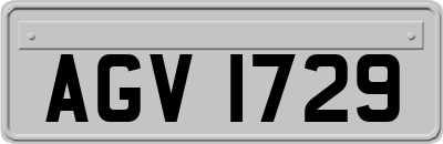 AGV1729