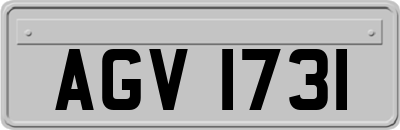 AGV1731