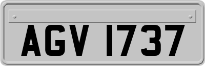 AGV1737