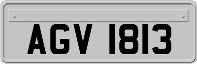 AGV1813