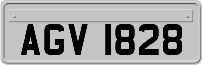 AGV1828