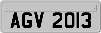 AGV2013