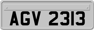 AGV2313