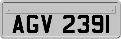 AGV2391