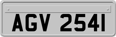 AGV2541