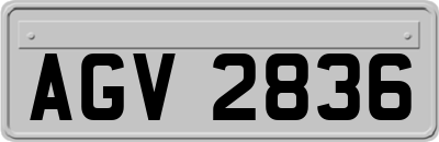AGV2836