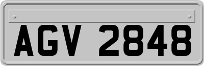 AGV2848