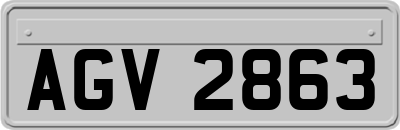 AGV2863