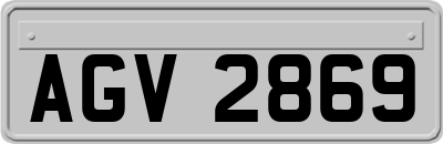 AGV2869