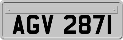 AGV2871