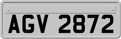 AGV2872
