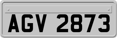 AGV2873