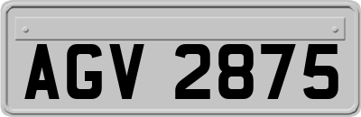 AGV2875