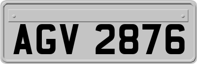 AGV2876