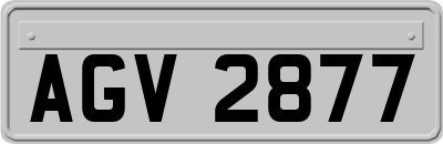 AGV2877