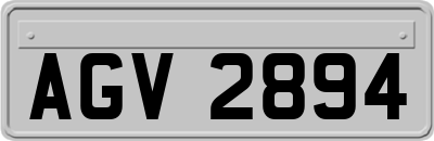 AGV2894