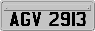 AGV2913