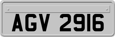 AGV2916