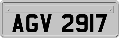 AGV2917
