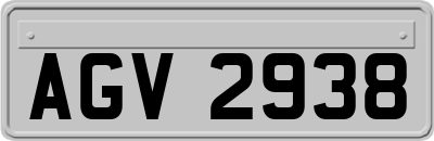 AGV2938
