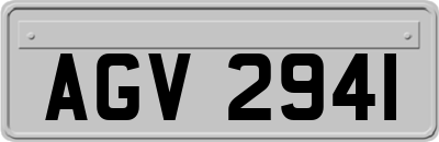 AGV2941